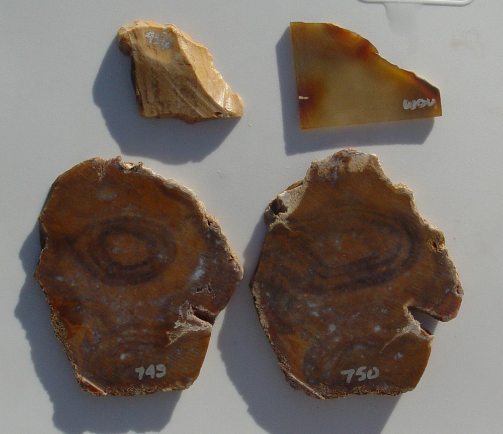 Lapidary Slabs agate jasper Lot 5