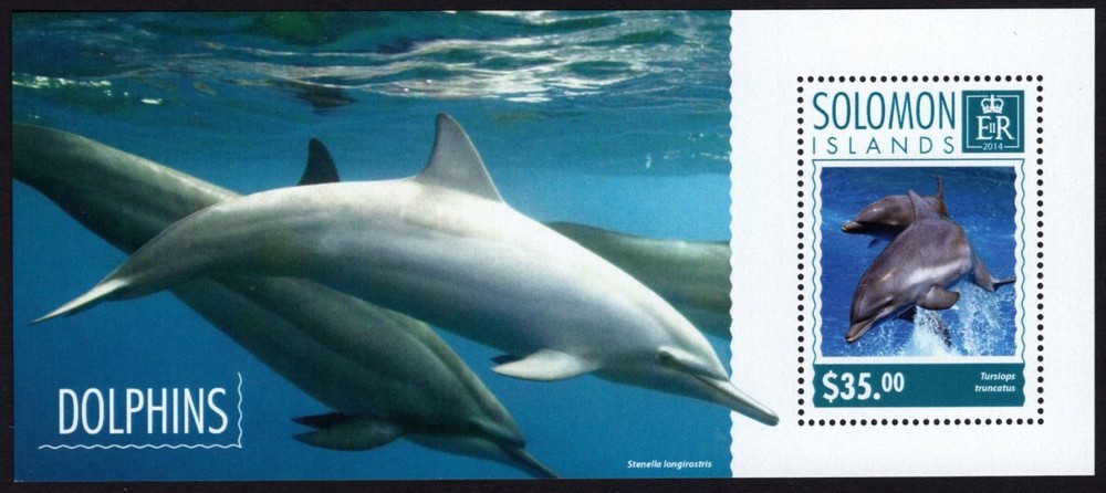 SOLOMON ISLANDS - 2014 'DOLPHINS' Miniature Sheet $35 MNH [E0791]