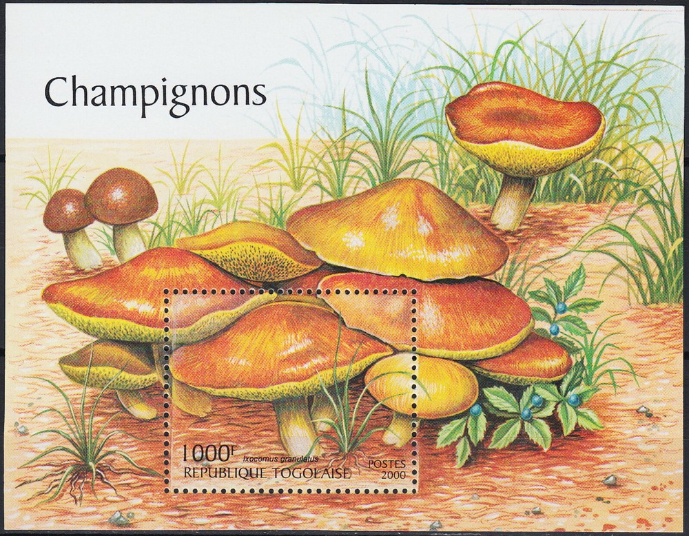 Togo S/S Mushrooms 2000 MNH-9 Euro