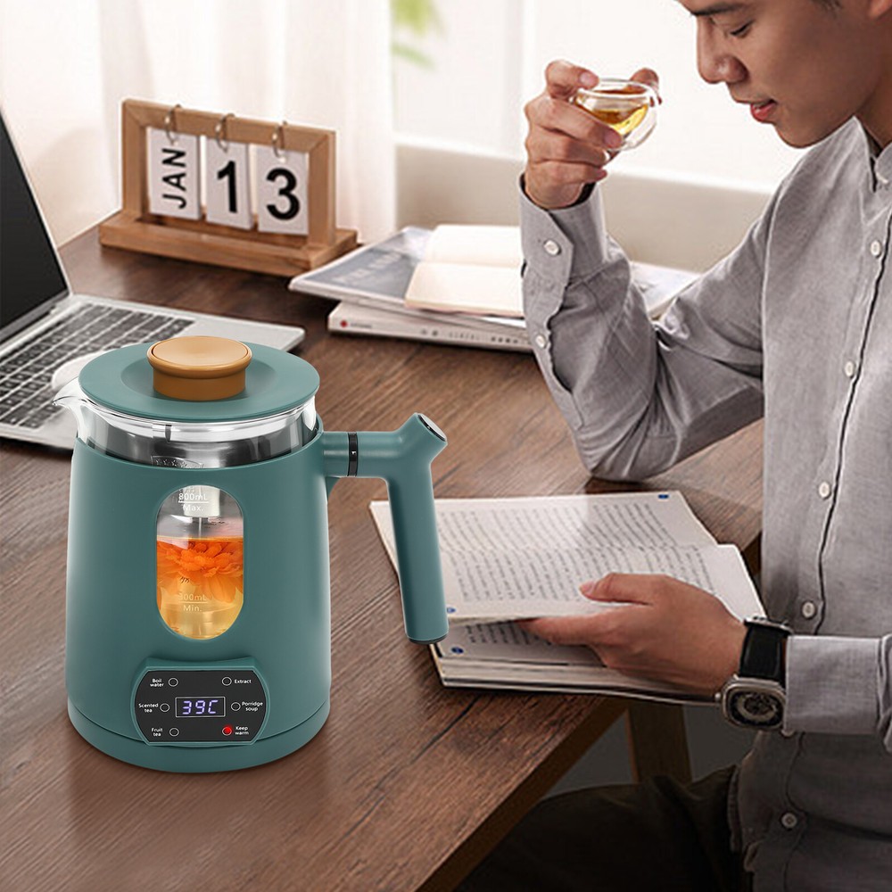 6 Functions Temperature Control Electric Tea Kettle With Tea Steamer Mesh 600W