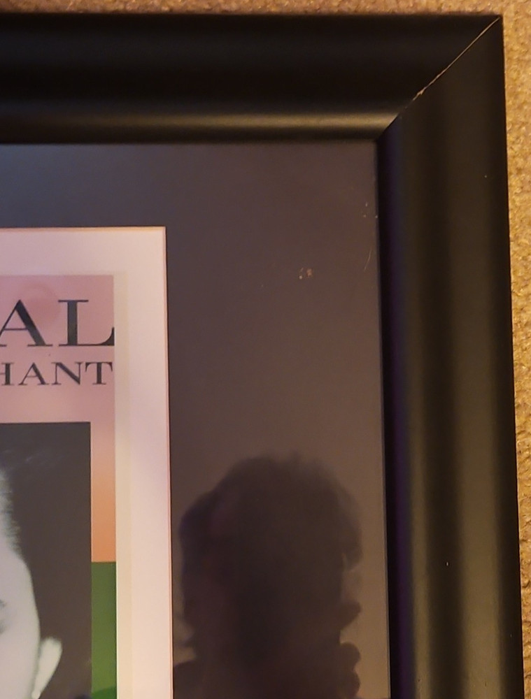 Natalie Merchant Signed Carnival CD Framed w/ Authentication
