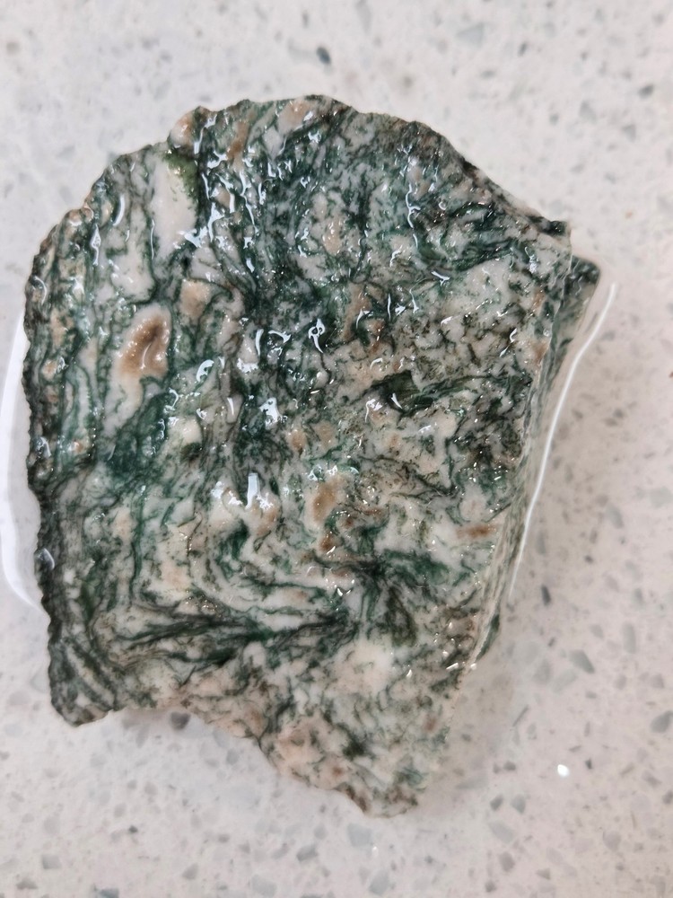 Tree Agate Rough