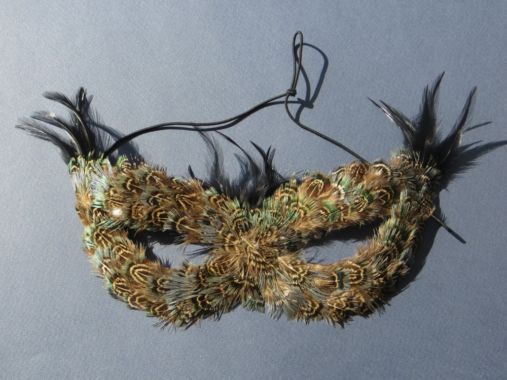 Feathered Masquerade Ball Half-Face Mask