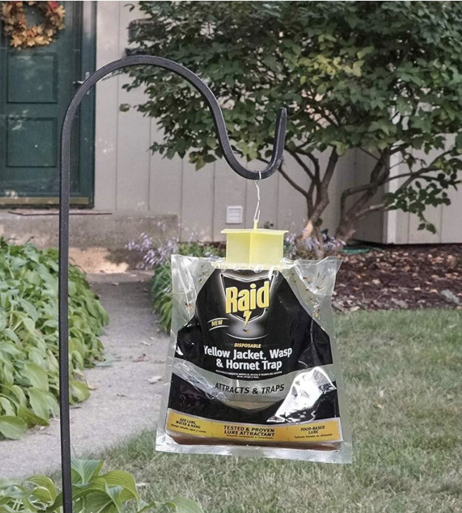 Raid 1 Disposable Trap Yellow Jackets, Wasps and Hornets