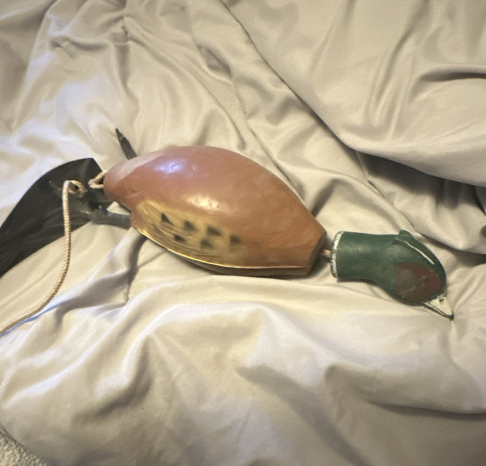 Decoy pheasant for dog training purposes.