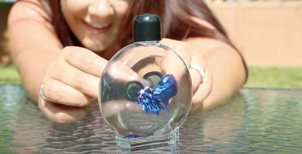 Colorful Ferrofluid in a Bottle (Blue)