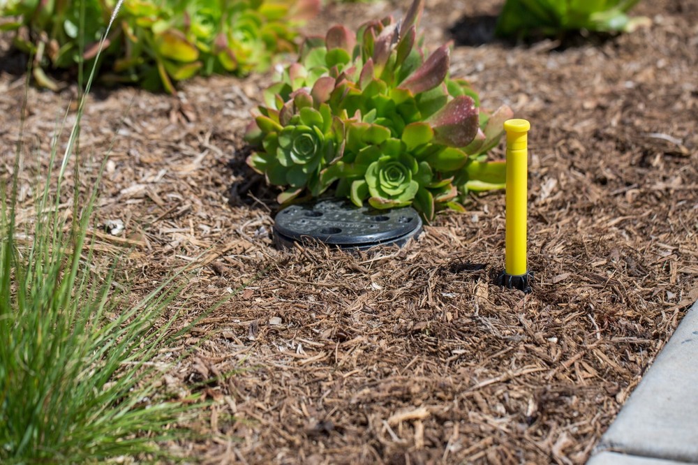 Hunter Eco-Indicator 6" Pop-Up Irrigation System Drip Operation Indicator Eco-ID