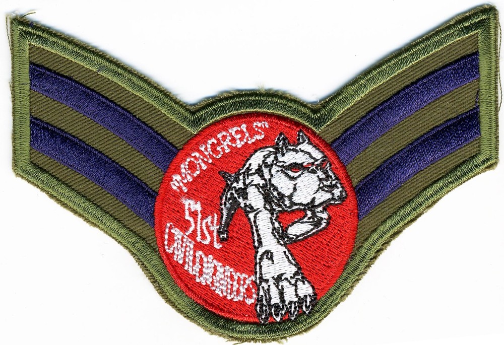 US Air Force Patch:  51st Civil Engineering Squadron Airman First Class (E-3)