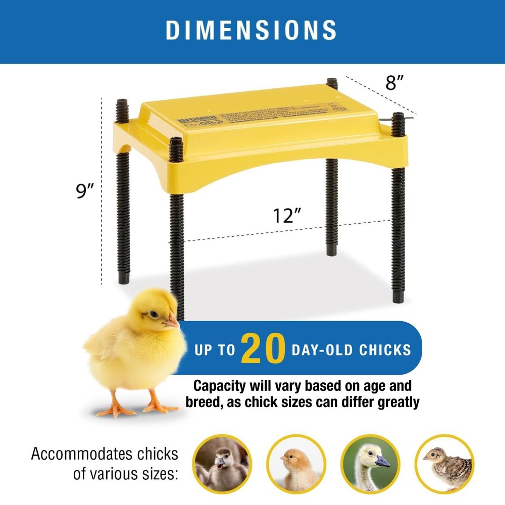 Ecoglow Safety 600 Chick or Duckling Brooder, Adjustable Height & Angle Brood...