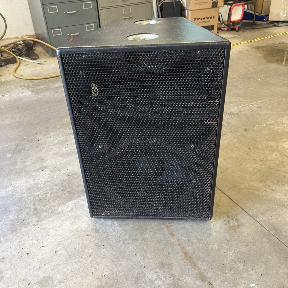 Custom Built Pro Two Way Speakers 12” with horn driver