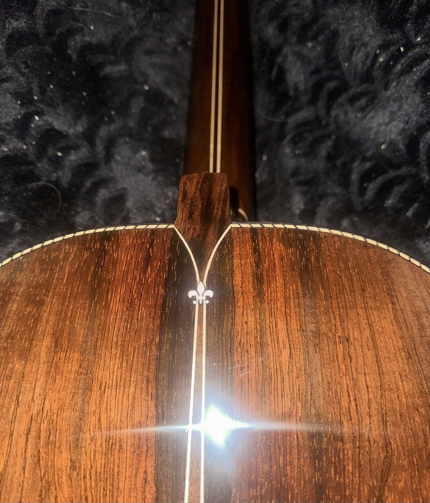 Washington Moretti 10 String Viola