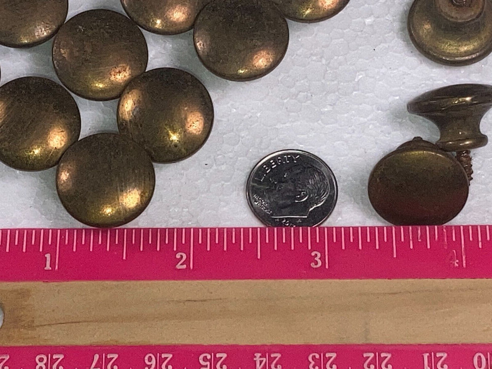 8 Antique Solid Brass Shell Drawer Door Pull Knob Handle Cupboard Screw 2 cm