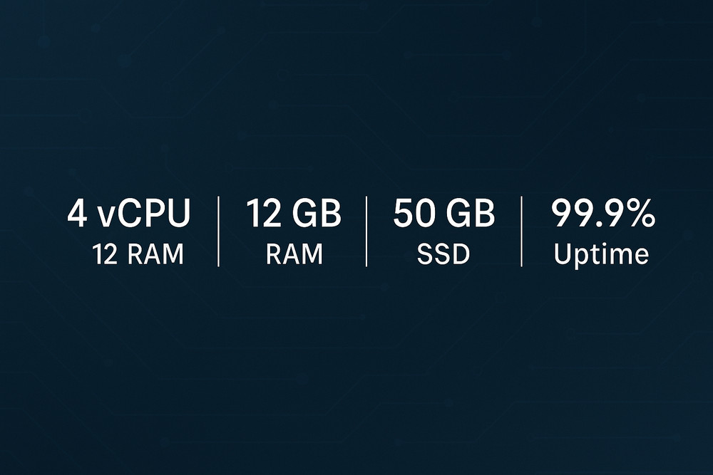 Linux VPS Hosting 12GB RAM / 50GB SSD / 4 vCPU – Unlimited Bandwidth / 12 months