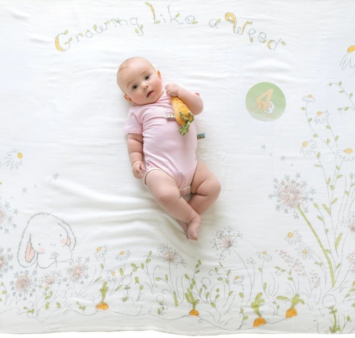 Bunnies by the Bay Milestone Blanket