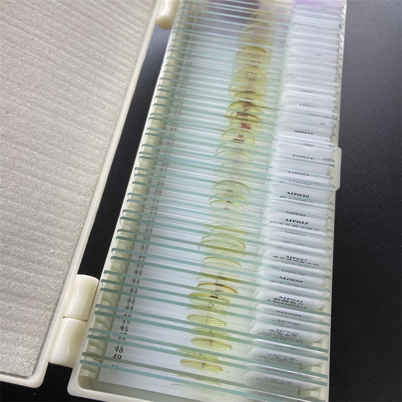 50PCS Prepared Microscope Parasitology Slides for Educational Teaching