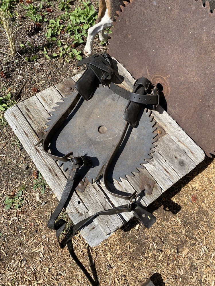 Buckingham Lineman Pole Climbing Spikes/Tree Climbing Spikes Adjustable