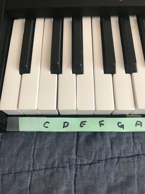 Studio Logic Numa Compact 2X 88 Key - Keyboard Piano