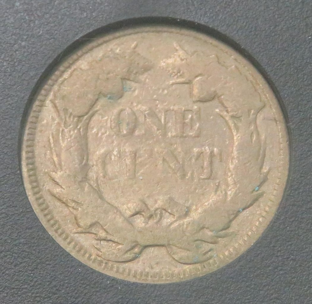 1858 Flying Eagle * In a Hard Plastic Case *