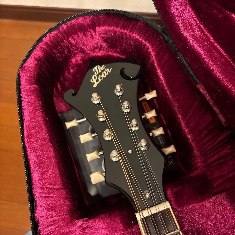 LOAR LM-520-VS flat mandolin