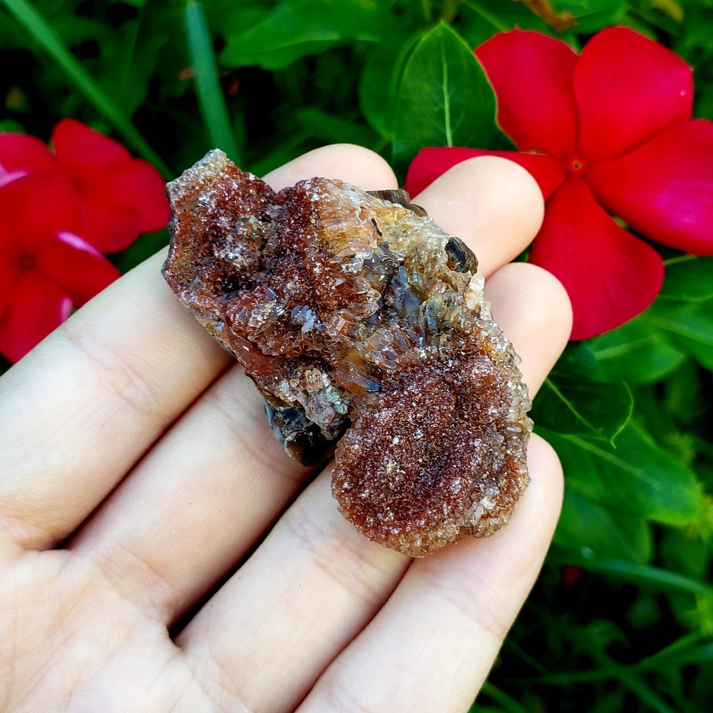 Fossilized Agate shell Cluster druzy natural crystal healing gemstone - #11