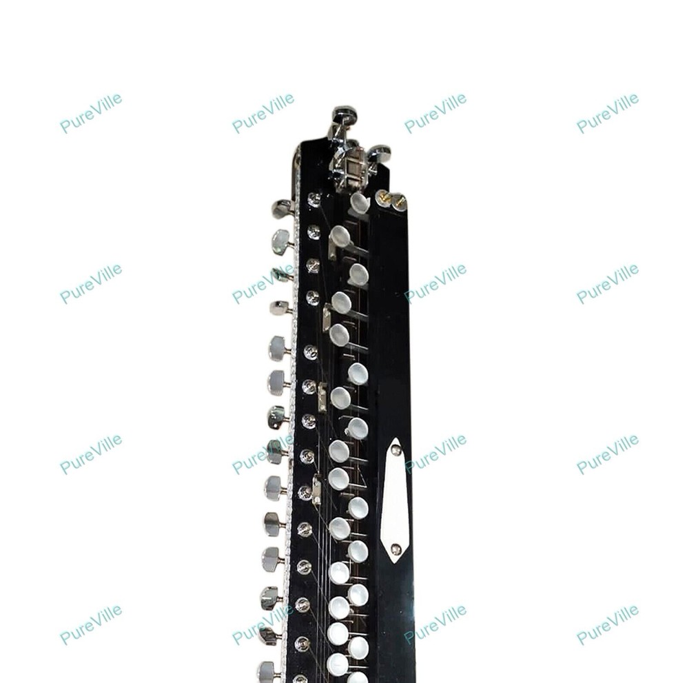 Bulbul Tarang Indian Instrument Professional Quality Electronic Banjo String
