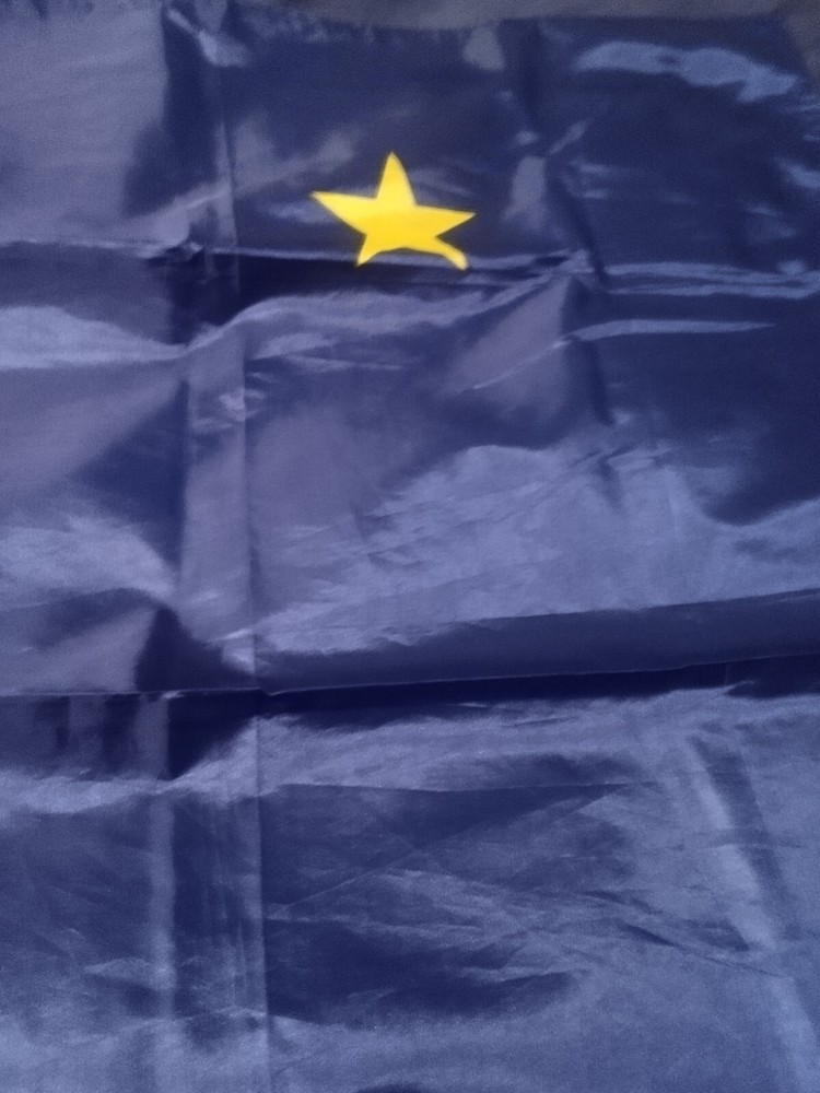 alaska state flag