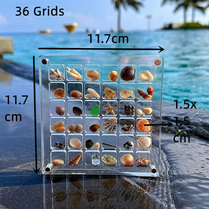 Acrylic Magnetic Seashell Display Box, 36/64/100 Grids Seashell Display Box