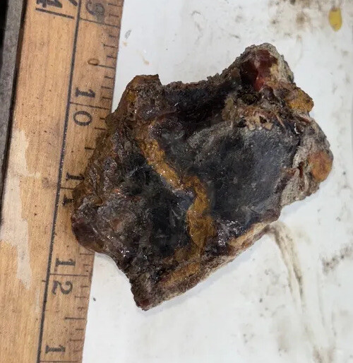 Silver Creek Junction petrified wood