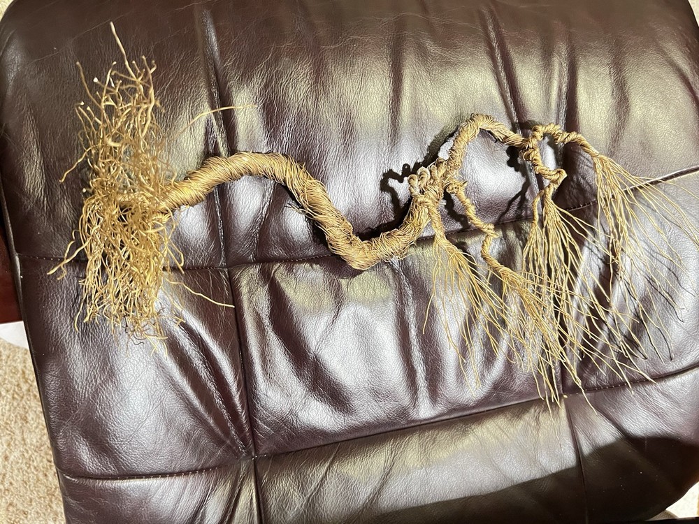 Wind Blown Wire Tree Wall Hanging