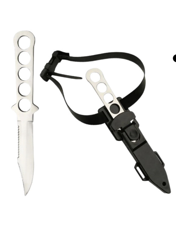 Dagger with case