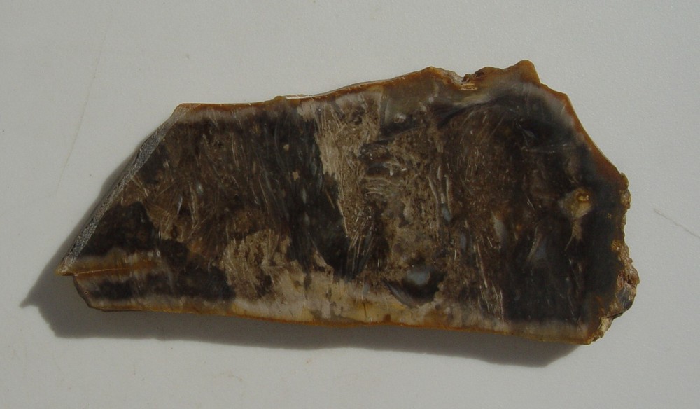 Feather Agate Lapidary Slab Indonesia T1237