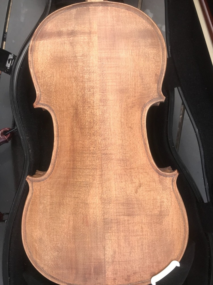 4/4 violin w/case
