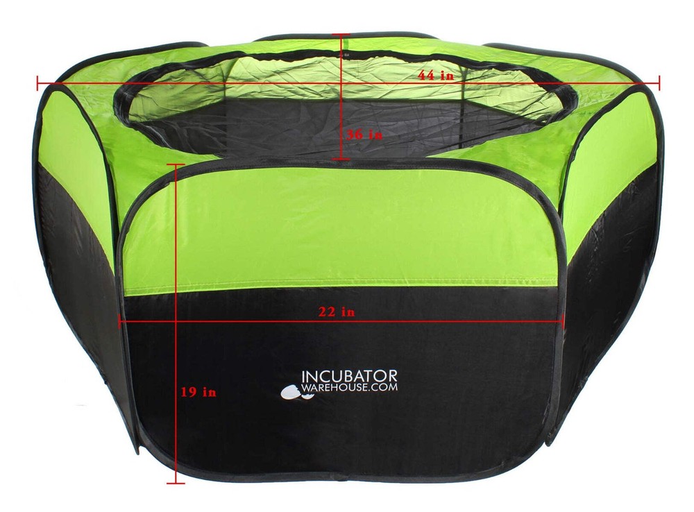 Incubator Warehouse Insta Brooder™ Enclosed Brooder Pen for Hatchlings