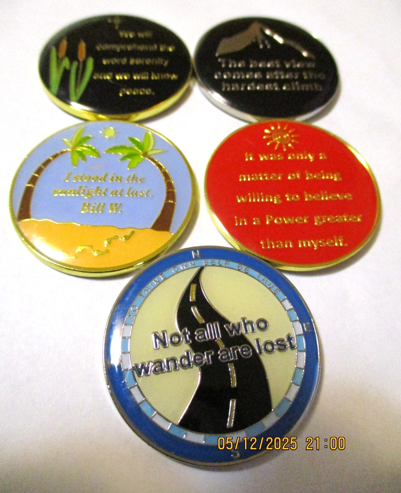 Coin Pink Butterfly Into Action Tri-plate 12 Step Programs