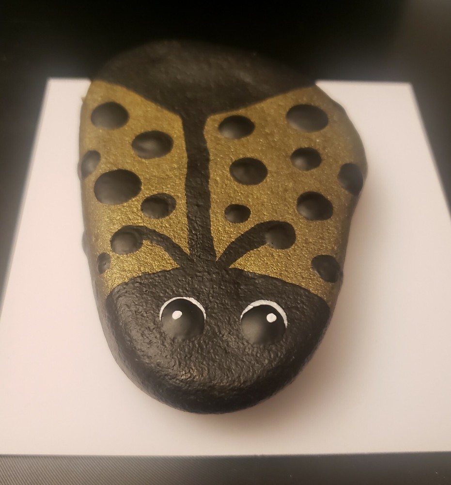 Ladybug painted mandala rock art