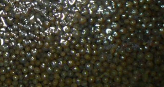 Don't Replace Your Water Softener- Clean it's Resin! It'll Work New Again.