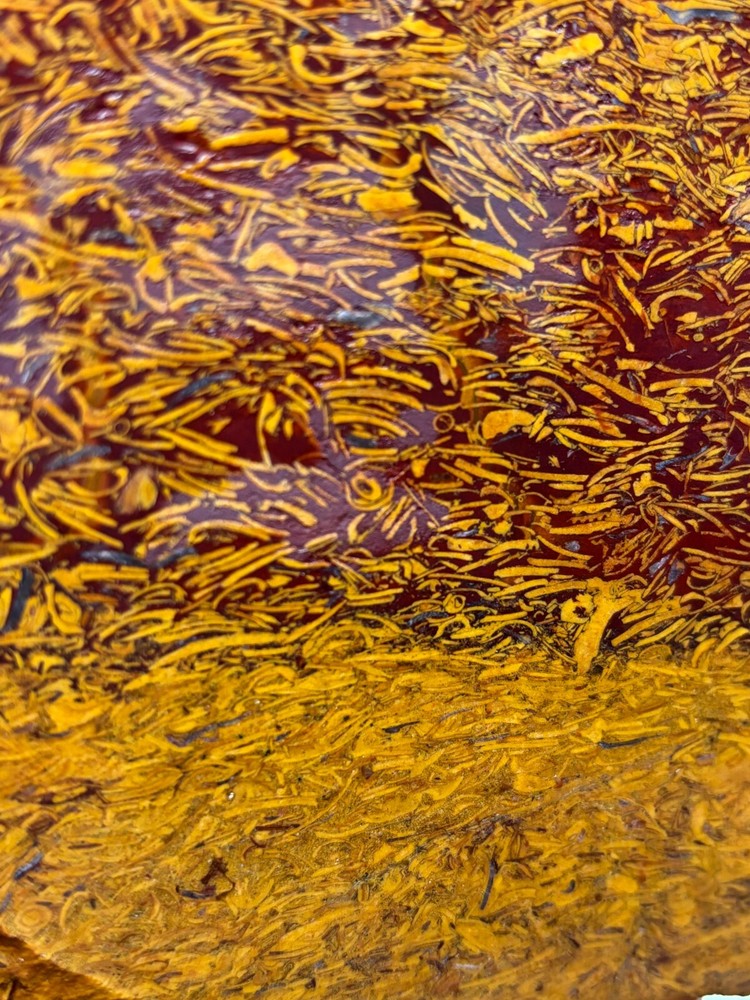 Script Stone Jasper Slab Cabbing Lapidary Collecting Combo Ship Avail
