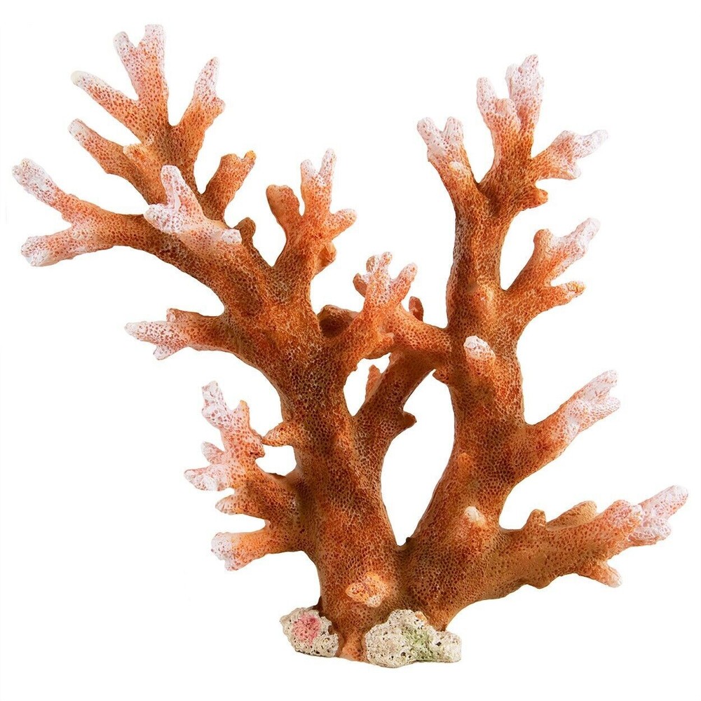 RA UNDERWATER TREASURES Staghorn - Medium