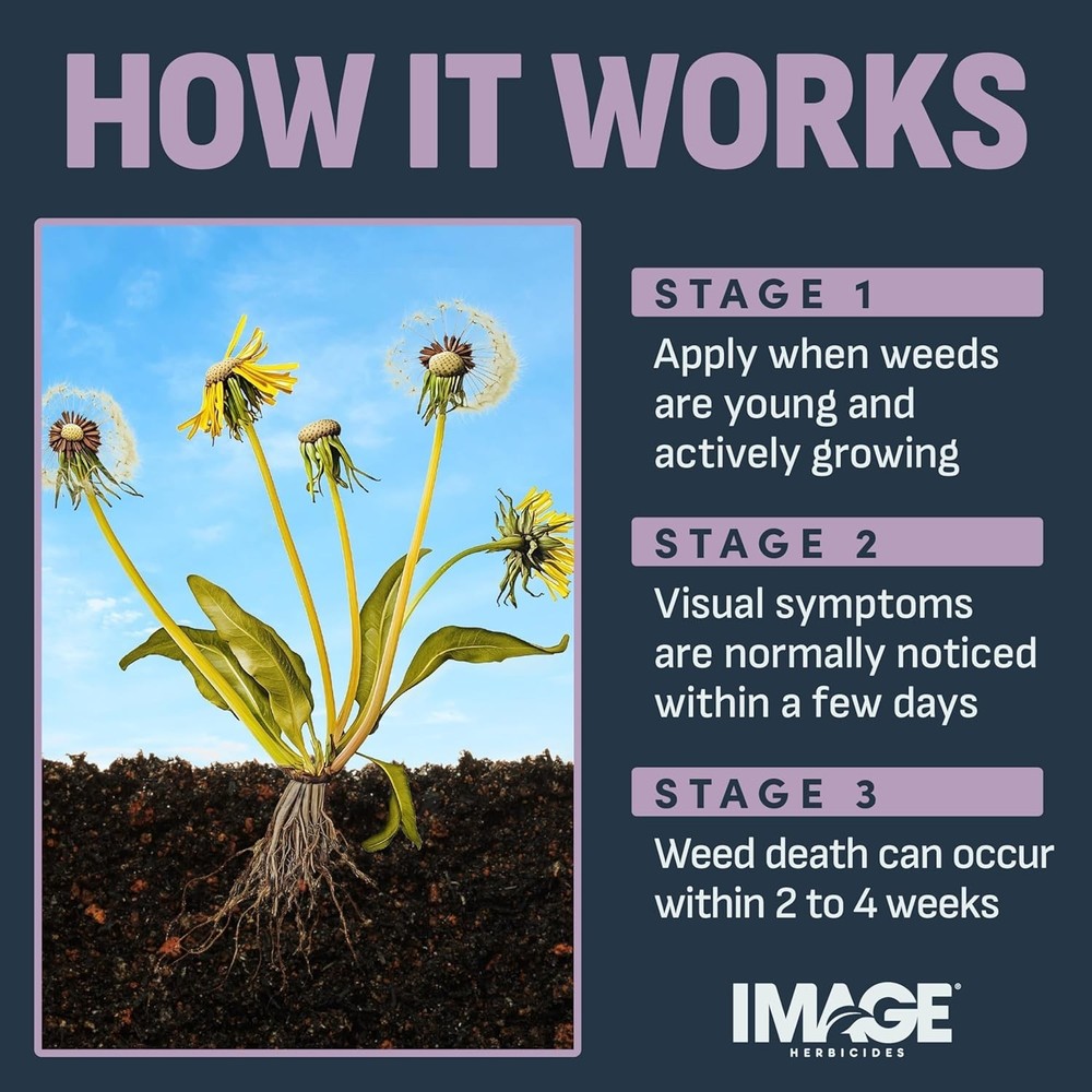 Image Concentrate Southern Lawn Weed Killer 32 oz.