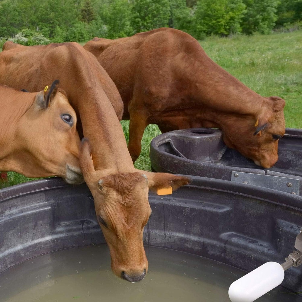4x Water Float Valve Adjustable Arm Water Filter Float 1/2" Automatic Fill Stop
