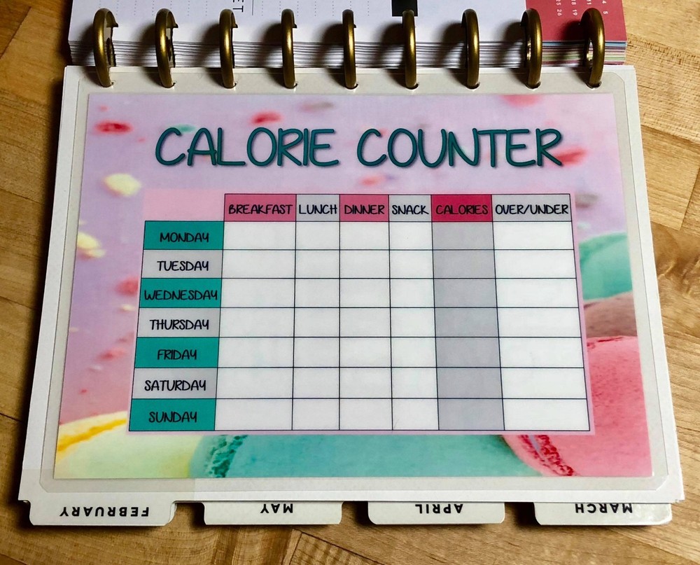 Calorie Counter Dashboard Insert 4 use with Happy Planner