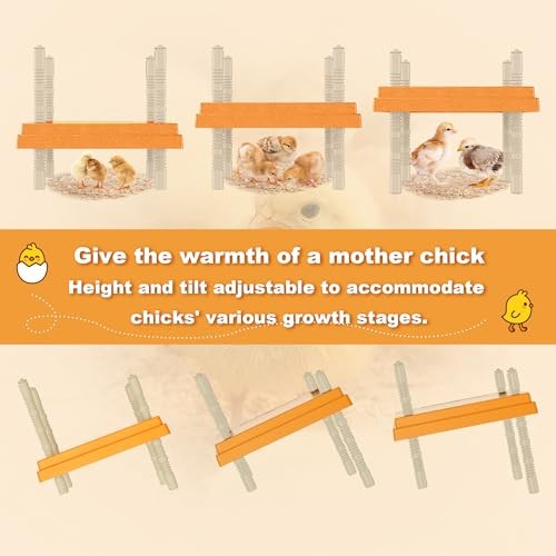 Brooder Plate with Adjustable Temperature & Height,10" x 10" Chick Heat Plate