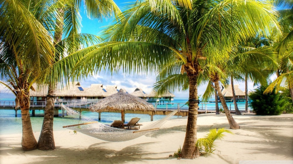 Premium Domain Name for Sale -- PARADISEBYTHEHOUR.COM -- Great Profits !