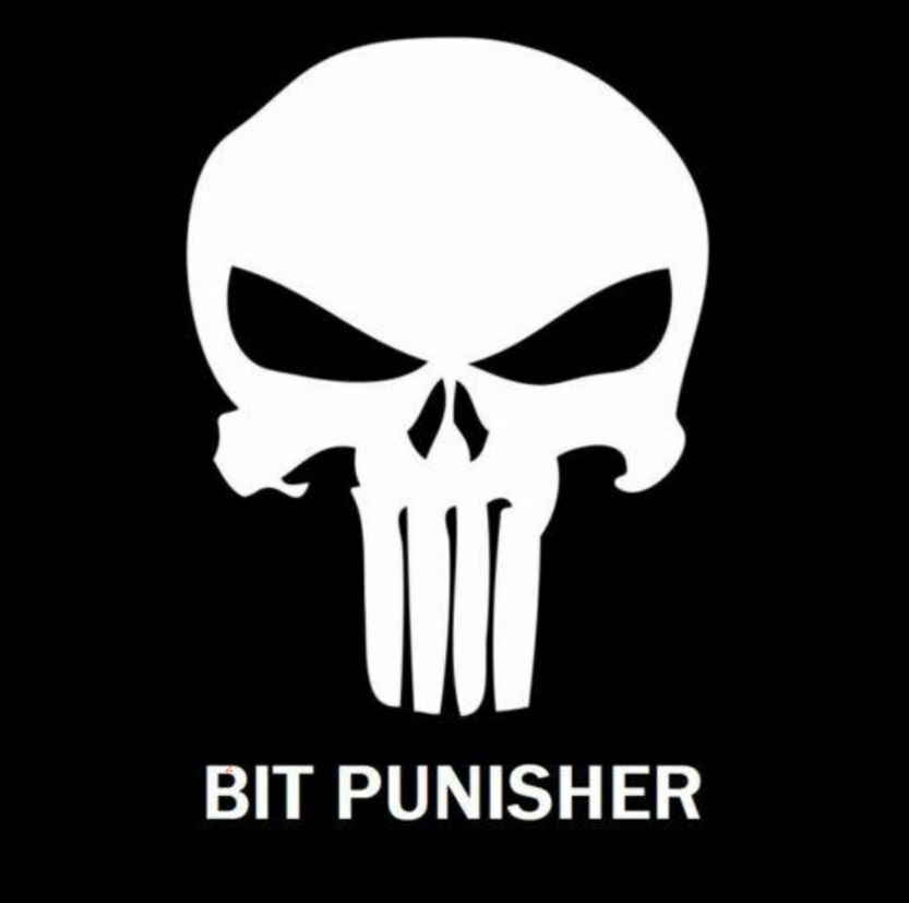 Starter Bitcoin Mining Rig Open Frame 0-GPU Pro Cryptocurrency Miner BITPUNISHER