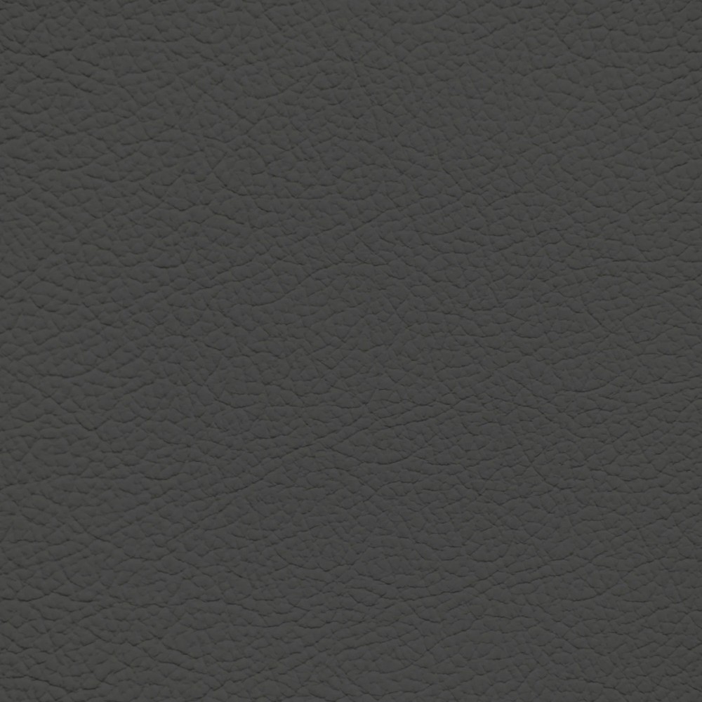 BMW Anthrazite Leather Dye