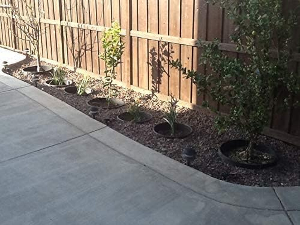 6 Pack 20" Tree & Shrub Watering Rings – Deep Root Irrigation Basin with Solid O