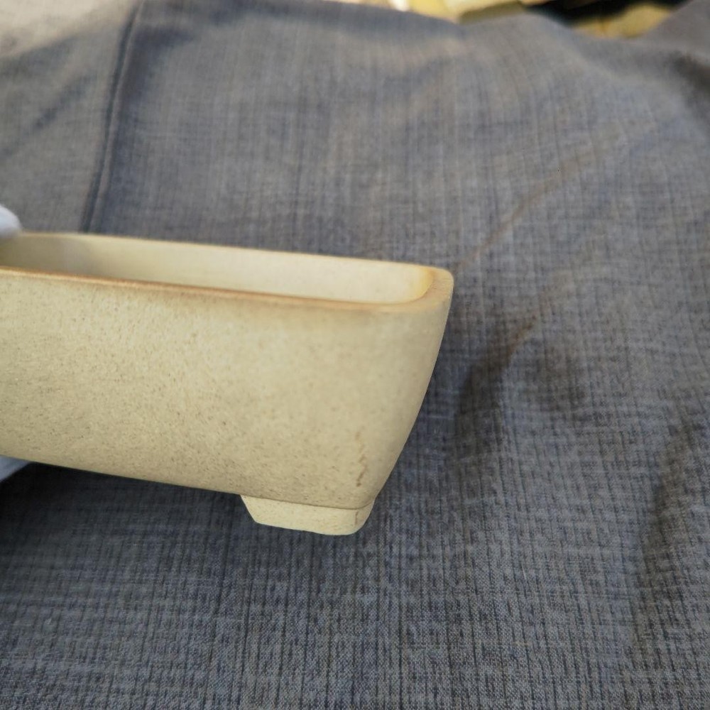 Rectangular Pottery Bonsai Pot Beige Japanese Art Shape Miniature Tree Container