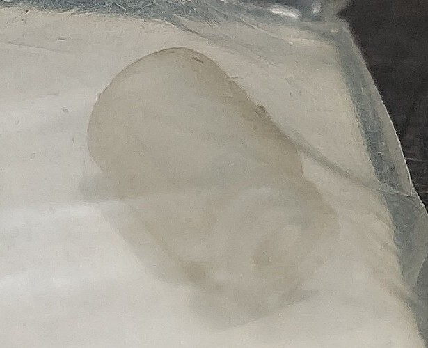 ANVER B1.5-5-SIT Translucent Silicone