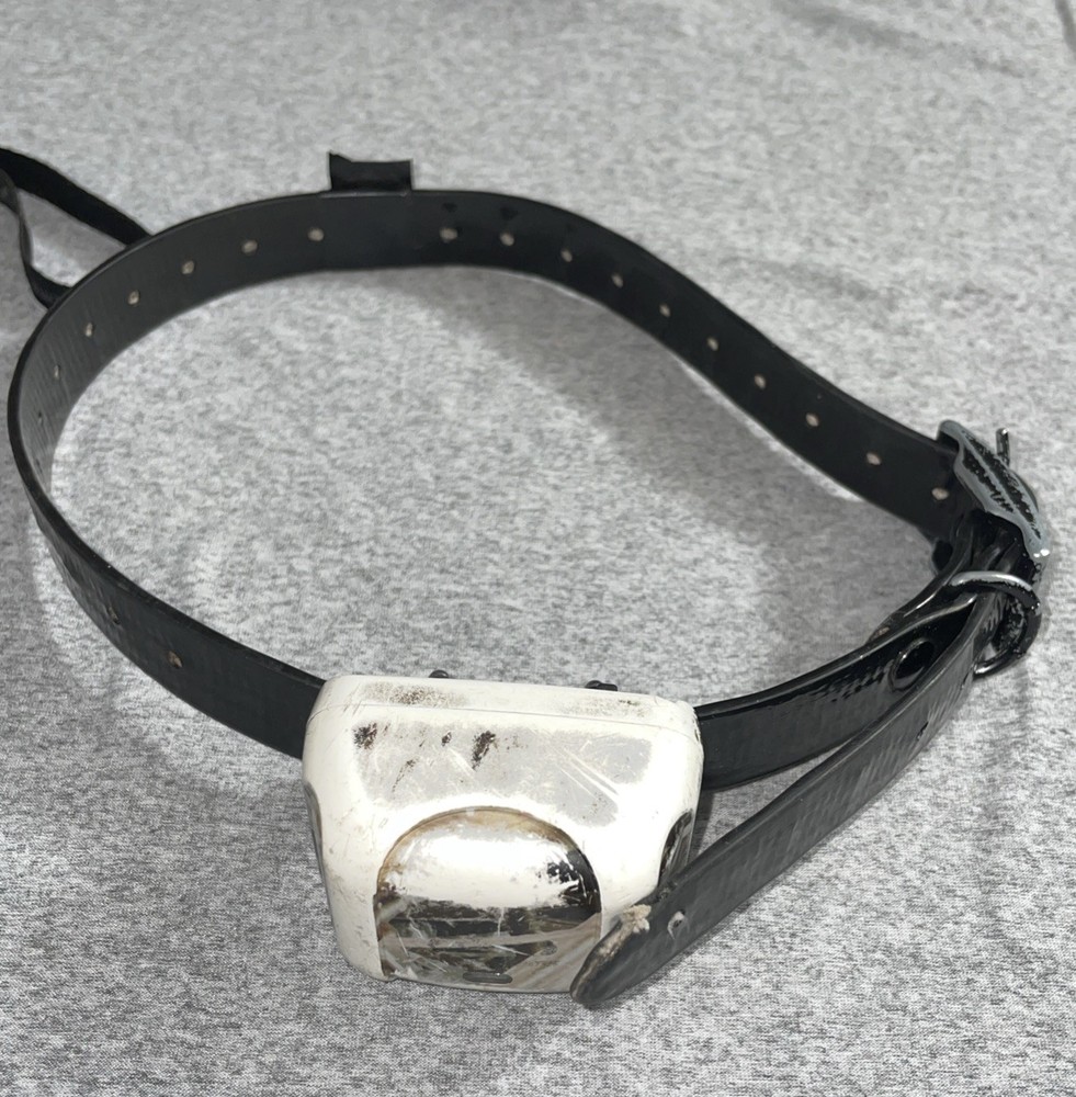 DT Systems R.A.P.T 1400 Remote Control Dog Training Collar System