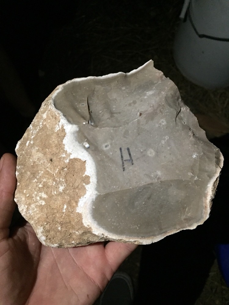 Heat treated Texas Chert Spalled medium flat 15+ Lbs $120
